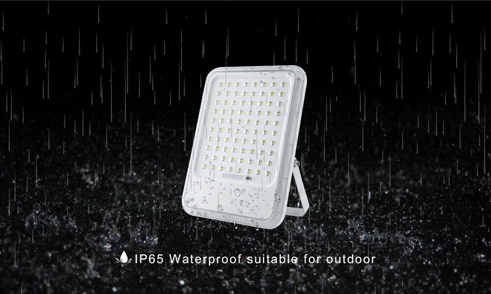 IP65 Solar Flood Light