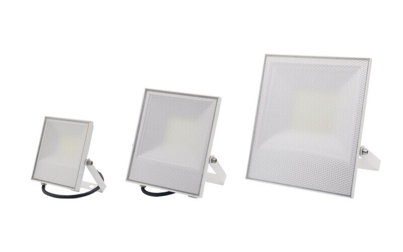 LED Flood Light-TG36